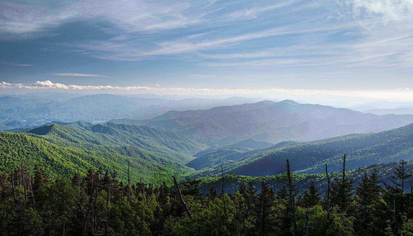About Us - Smoky Mountain Cabin Rentals