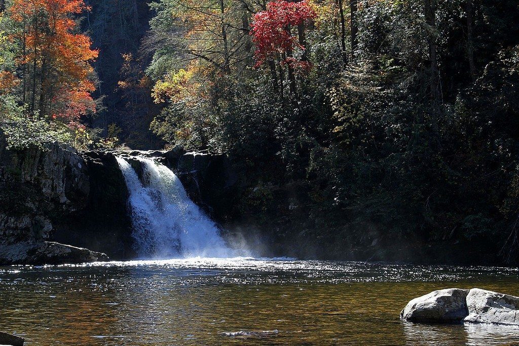 The Best Swimming Holes & Tubing in Gatlinburg Elk Springs Resort